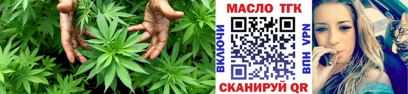 Дистиллят ТГК Wax  Купить где  Елизово 