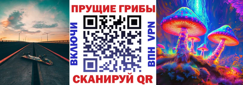Псилоцибиновые грибы GOLDEN TEACHER  Купить закладки  Елизово 